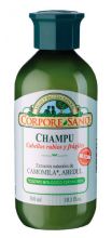 Chamomile Shampoo + Birch + Hibiscus Chamomile Shampoo + Birch + Hibiscus