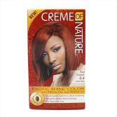 Argan Color Argan Color
