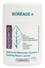 Boreade Stick Lip's repair Boreade Stick Lip's repair