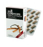 Cordyceps CS-4 Extract and Powder 60 Capsules Cordyceps CS-4 Extract and Powder 60 Capsules