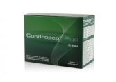 Condropep Plus Lemon 8 gr 30 Envelopes Condropep Plus Lemon 8 gr 30 Envelopes