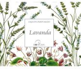 BioAroma Scented Sachet 12.5 gr BioAroma Scented Sachet 12.5 gr